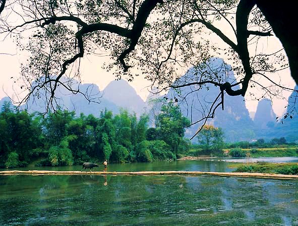 Nhân quả, Nghiệp, Luân hồi: Phần 2: Nghiệp